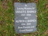 image number Barnes Violet E  96
